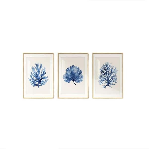 Blue Coastal Coral Framed Wall Art 24 in. x 16 in