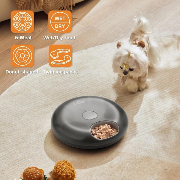 iPettie Donuts Frost 6 Meal Cordless Automatic Pet Feeder with 2