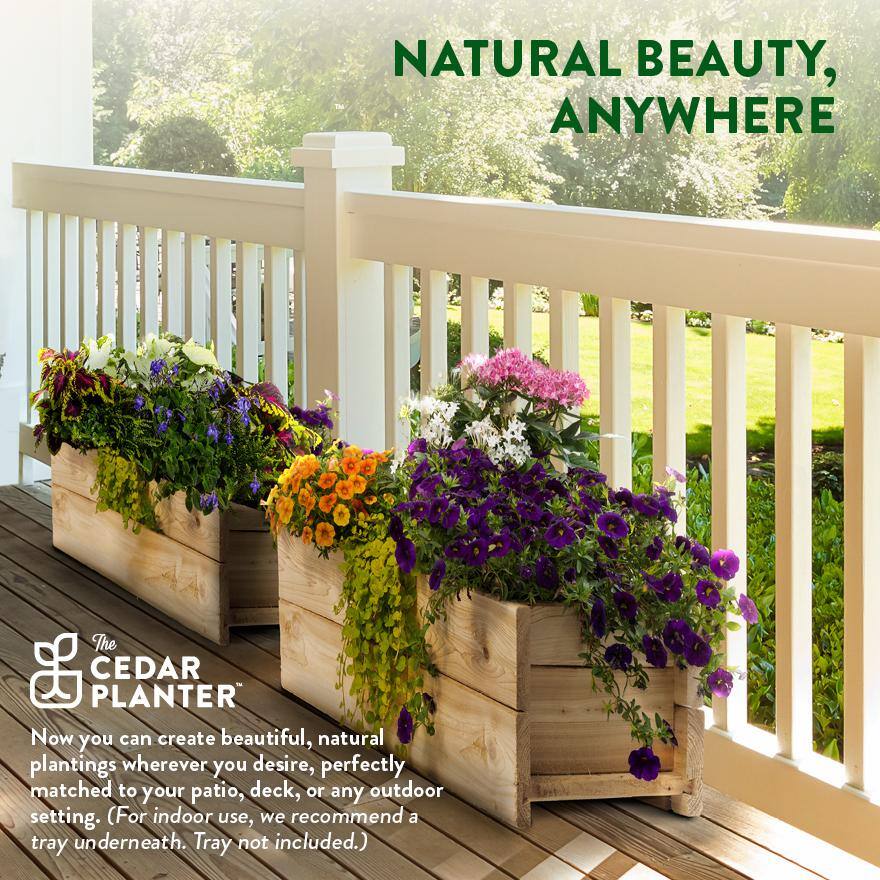 Eco-Friendly Cedar Rectangular Large Outdoor Planter Box, 32" x 11"
