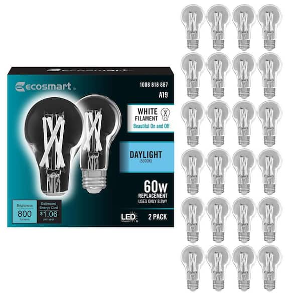 60-Watt Equivalent A19 Dimmable White Filament CEC Clear Glass E26 LED Light Bulb Daylight 5000K (24-Pack)