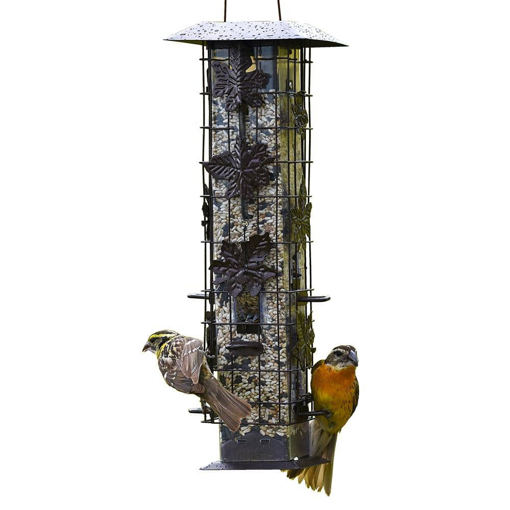 https://images.thdstatic.com/productImages/5d0aba01-c4bd-41f4-a10c-f913635eb642/svn/brown-perky-pet-bird-feeders-336-64_1000.jpg