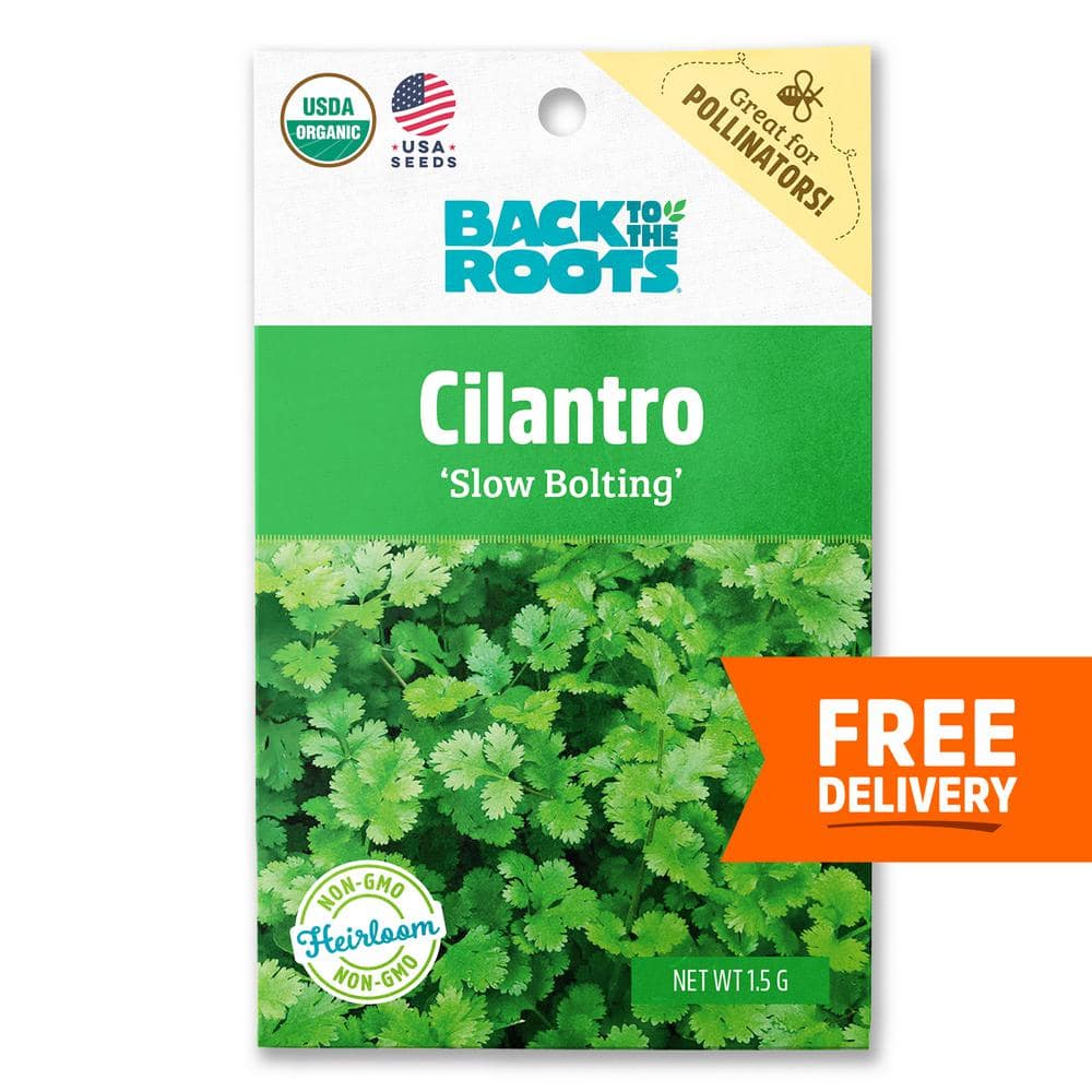 Back to the Roots Organic Slow Bolting Cilantro Seeds  1 Packet