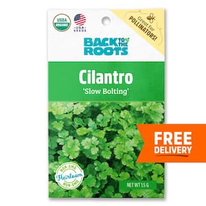 Organic Cilantro/Coriander, Slow Bolting Cilantro Seed (1-Pack)