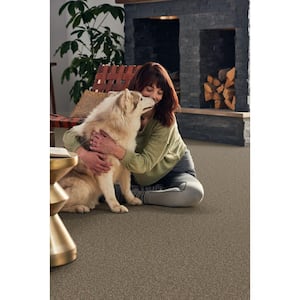 Pioneer - Hayloft - Brown 73.5 oz. SD Polyester Texture Installed Carpet