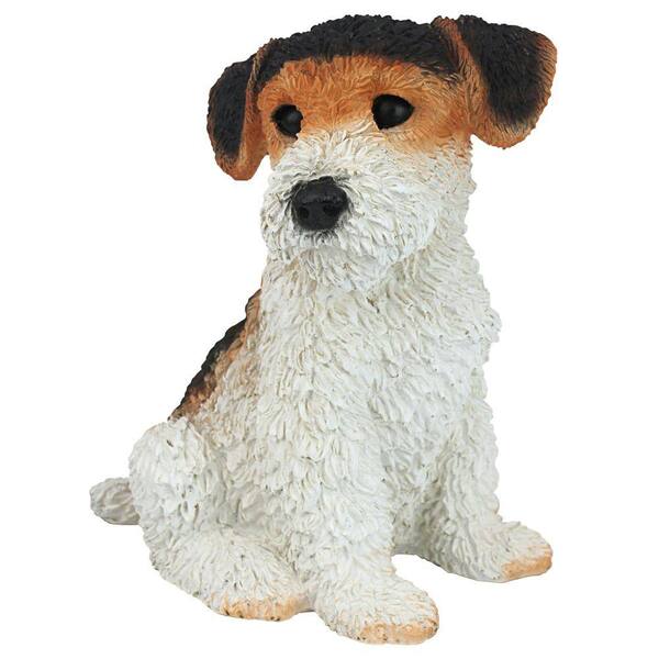 foxterrier puppy