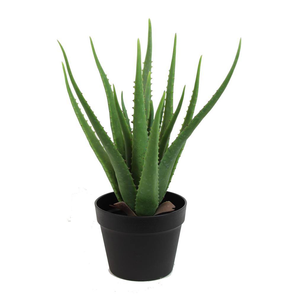 19" Green Artificial Aloe Vera Plant in Black Pot