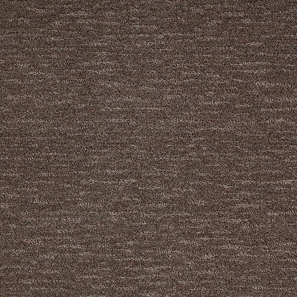 Lifeproof with Petproof Technology Allison Cove Cocoa Brown 39 oz. Triexta Pattern Installed Carpet