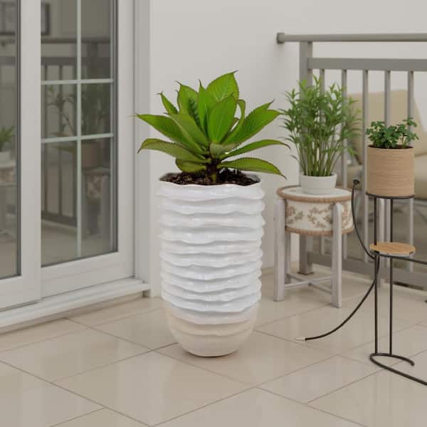 variegated lemon lime pothos Pothos ‘Neon Queen’ Houseplant main image 0