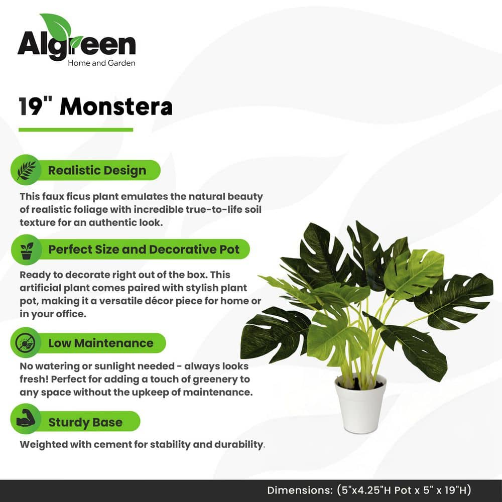 19" Indoor Silk Monstera in White Plastic Pot