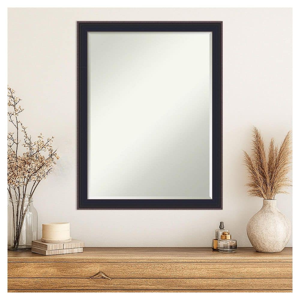Havana Black Bronze 20.5 in. x 26.5 in. Petite Bevel Casual Rectangle Framed Wall Mirror price history on PriceWatchPro
