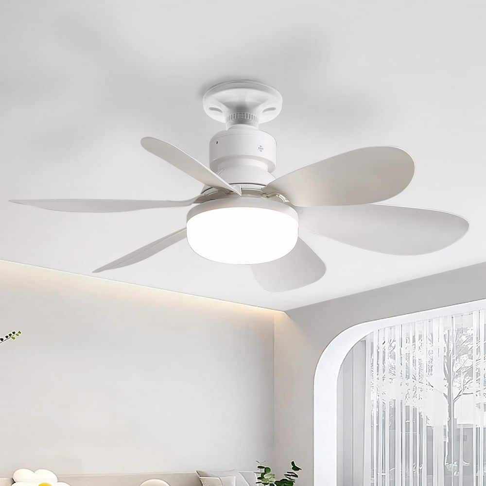 20 in. Indoor/Outdoor Small Modern White Ceiling Fan with DC Remote Control for Kitchen Dining Room Bedroom price history on PriceWatchPro