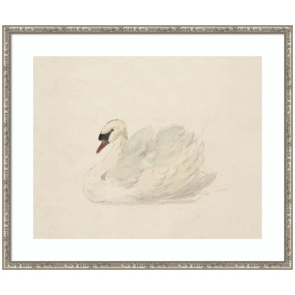 "Belvedere ""Knobbelzwaan 1792 Aert Schouman"" by Nostalgia Prints Animals Framed Art Print 21 in. x 25 in." price history on PriceWatchPro