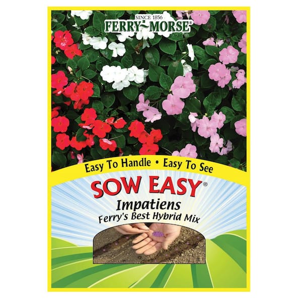 Impatiens Ferry's Best Hybrid Flower Seed