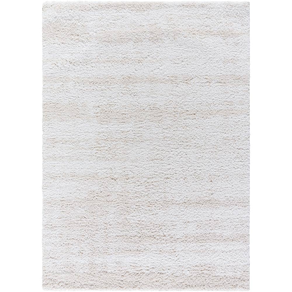 Sacramento Shag White/Oatmeal 5 ft. x 7 ft. Modern Indoor Area Rug price history on PriceWatchPro
