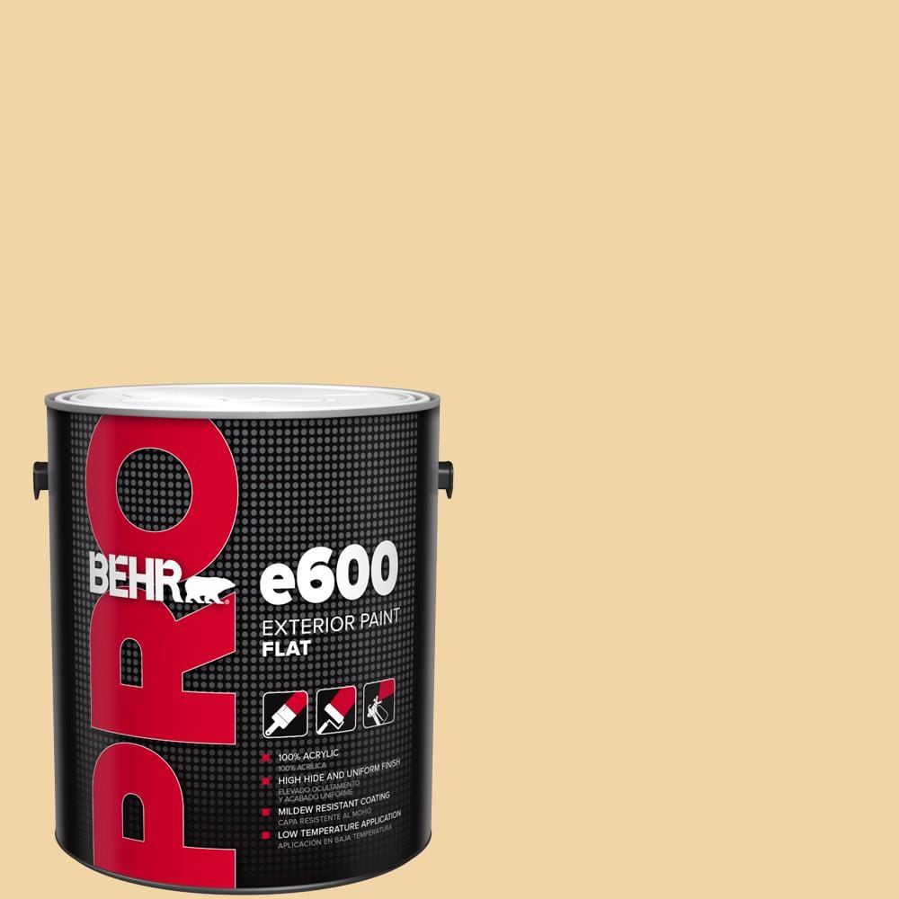 1 gal. #ECC-50-1 Sunbath Flat Exterior Paint price history on PriceWatchPro