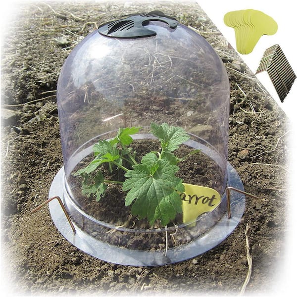 Unbranded 8 in. Dia x 7 in. H Garden Bell Plant Dome Plastic Plant Protection Bell Jar 10-Pack