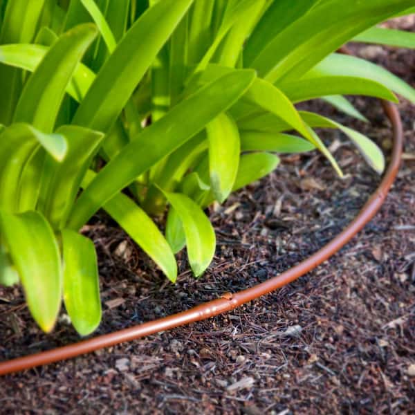 1/4 in. x 100 ft. Dripline with 9 in. Emitter Spacing