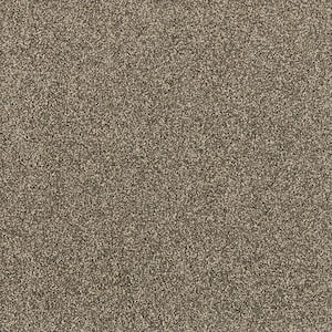 Tailored Trends I Midnight Gray 34 oz. Polyester Textured Installed Carpet