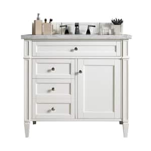 Brittany 36 in. W x 23.5 in.D x 34 in. H Single Vanity in Bright White with Solid Surface Top in Arctic Fall