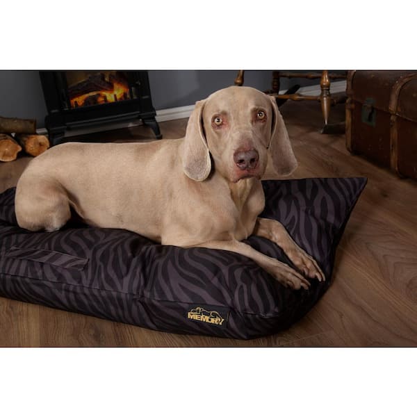 scruffs memory dog bed