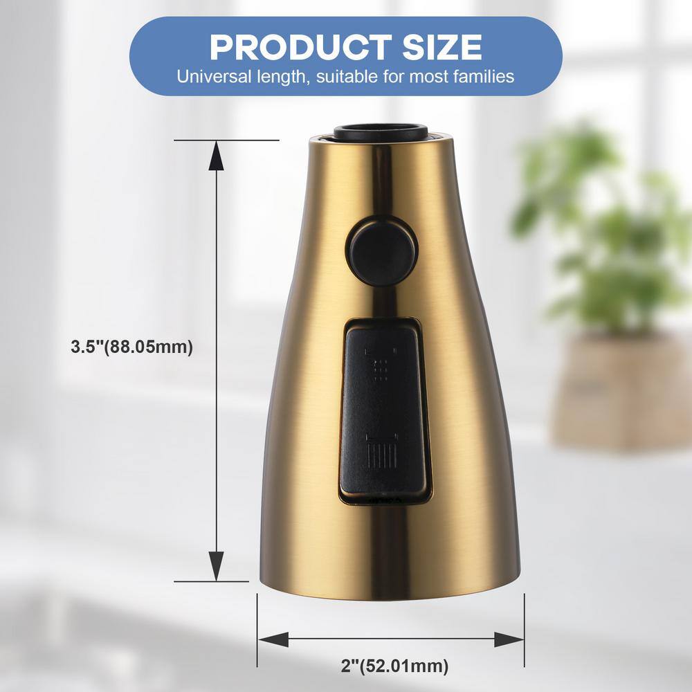 Gold 3-Function Kitchen Faucet Spray Head with 9 Adapters