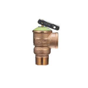 3/4 in. 30 PSI Relief Valve