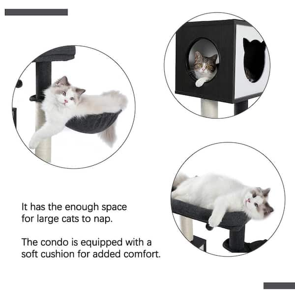 cenadinz Cat Carrier for Small Medium Cats Dogs Puppies with Big