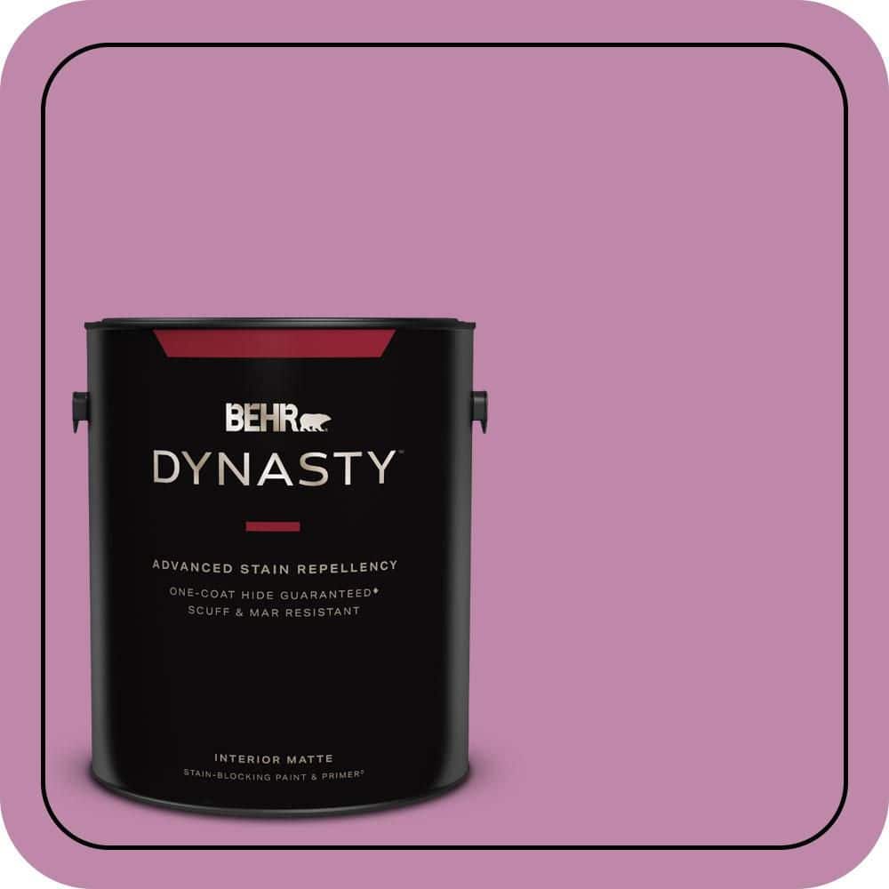 1 gal. #M120-5 Rosy Matte Interior Stain-Blocking Paint & Primer price history on PriceWatchPro