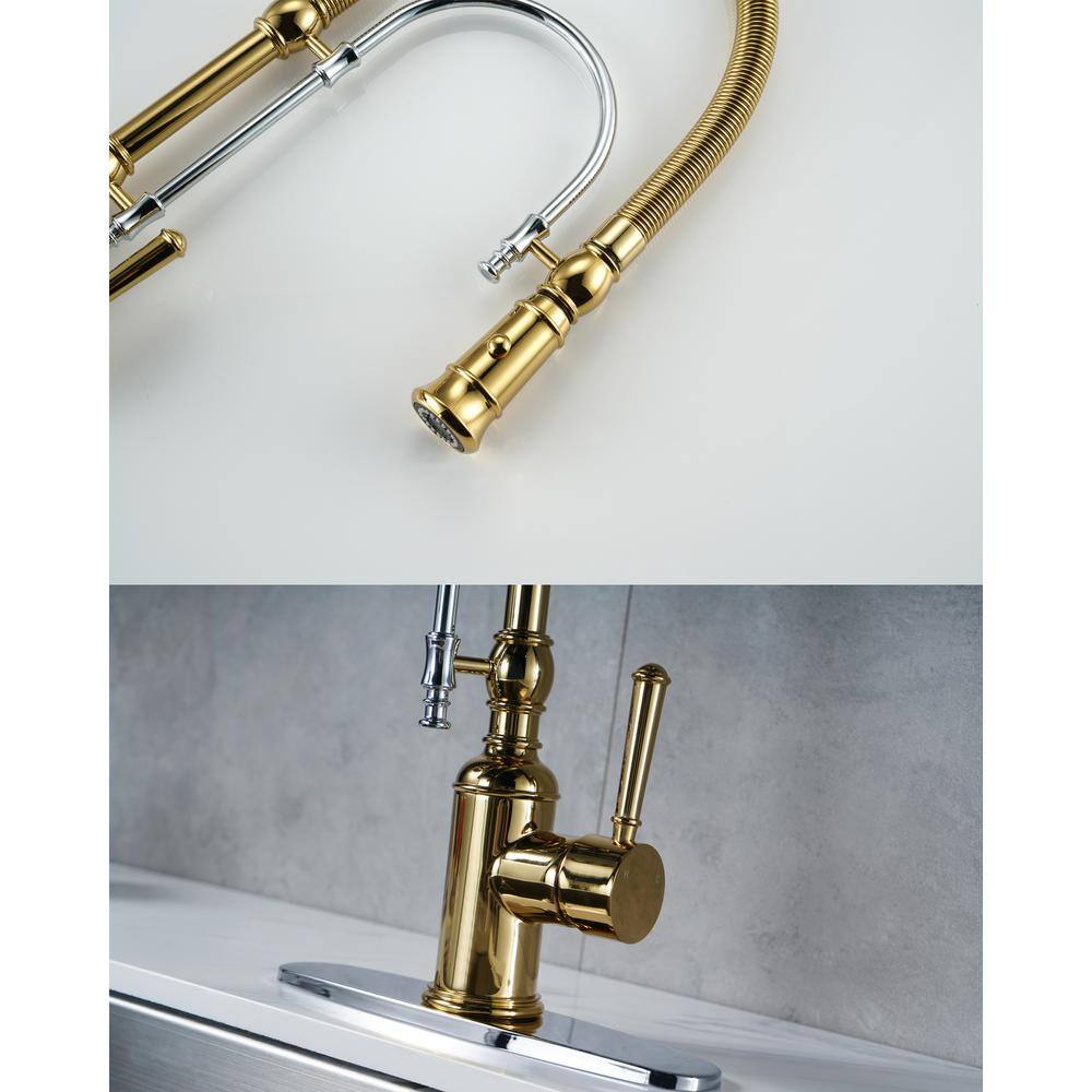 Gold and Chrome High-Arc Kitchen Faucet with Pull-Out Spray