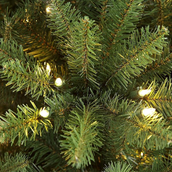 3' x 20 Olympia Pine Prelit Commercial LED Teardrop Christmas Greener