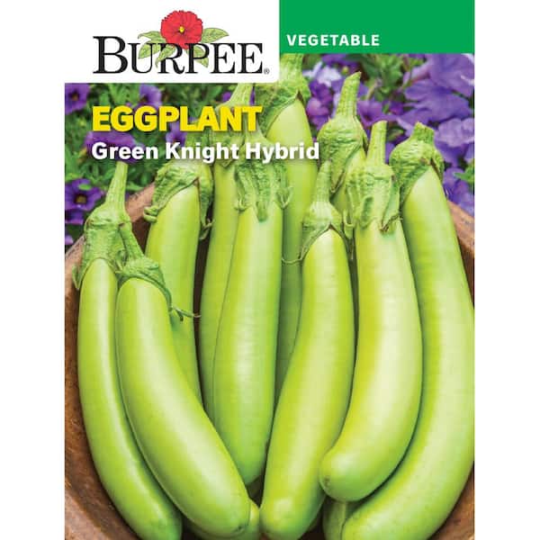 Eggplant, Green Knight Hybrid Seed
