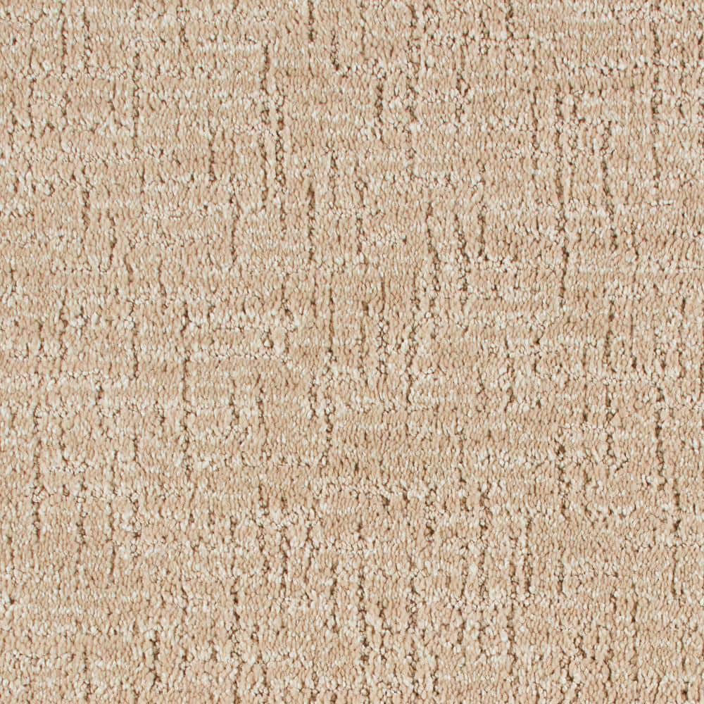 8 in. x 8 in. Pattern Carpet Sample - Truse -Color Tradition