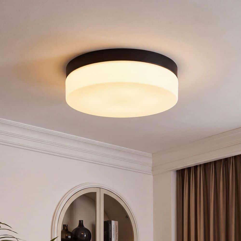 Basdien 12 in. Black Closet Light LED Flush Mount Ceiling Light