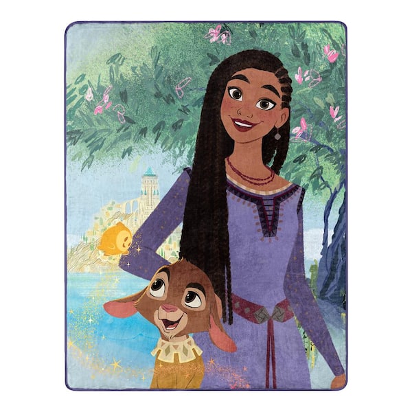 THE NORTHWEST GROUP Disney Wish Friendship Silk Touch Throw Blanket