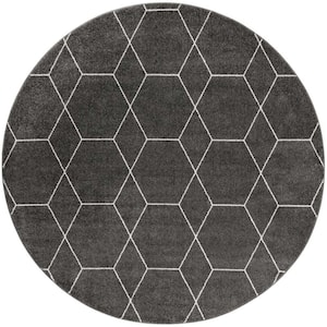 Trellis Frieze Geometric Dark Gray 6 ft. x 6 ft. Area Rug