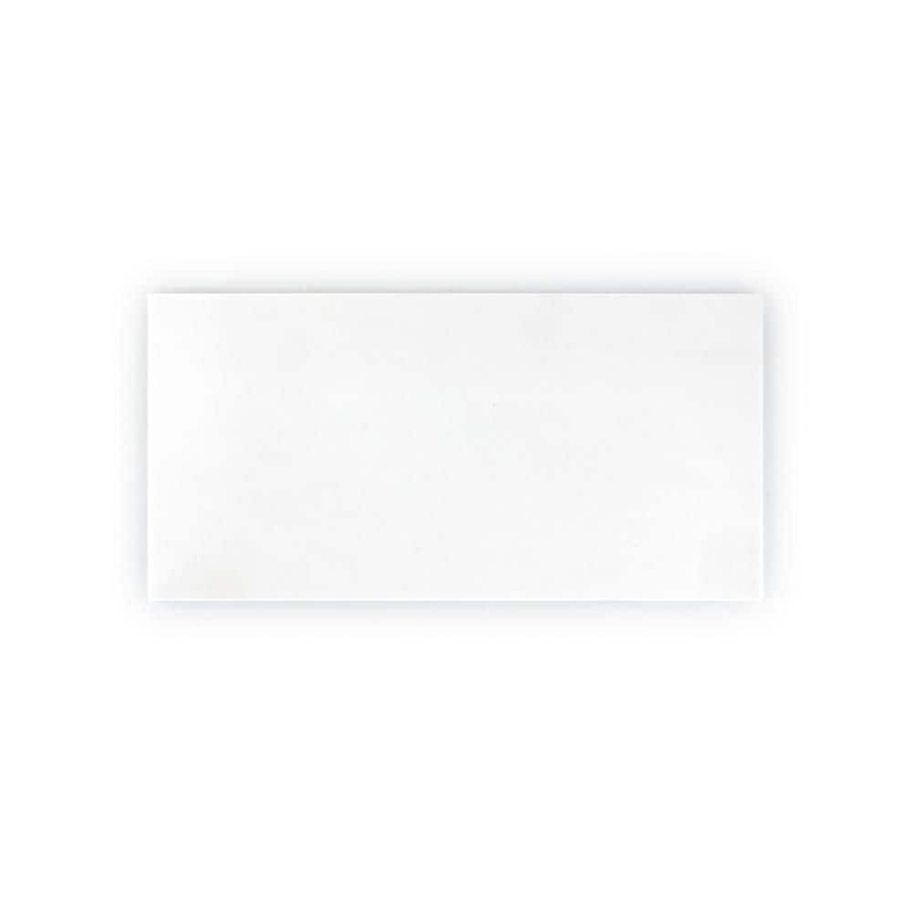 Take Home Tile Sample - Dolomite White 3 in. x 6 in. Honed Stone Look Marble Wall and Floor Tile Sample price history on PriceWatchPro