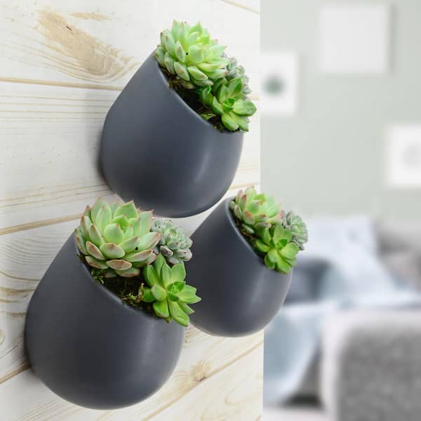 Round 5 1/2 in. x 6 in. Dark Grey Ceramic Wall Planter