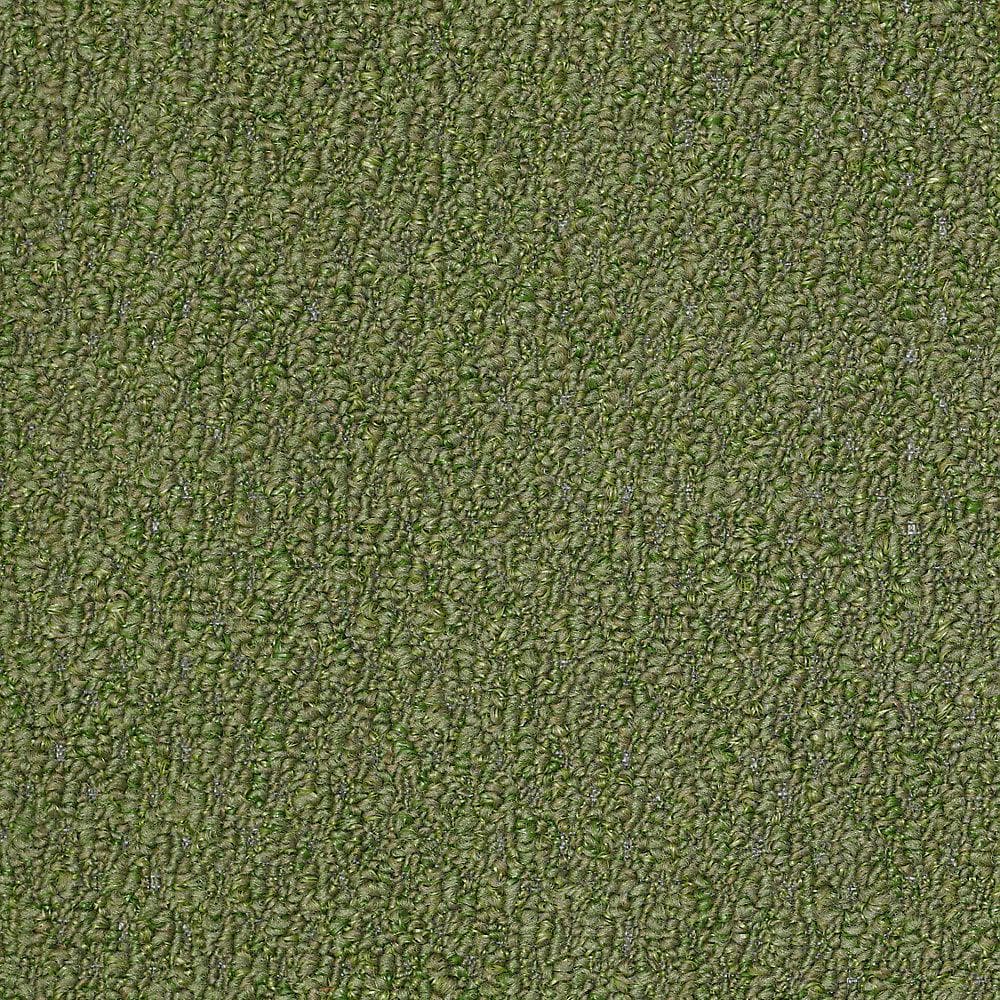 8 in. x 8 in. Berber Carpet Sample - Isla Vista - Color Topiary price history on PriceWatchPro