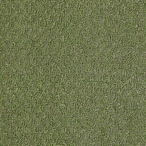 8 in. x 8 in. Berber Carpet Sample - Isla Vista - Color Topiary