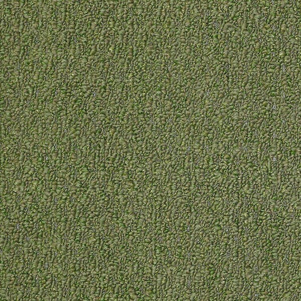 TrafficMaster 8 in. x 8 in. Berber Carpet Sample - Isla Vista - Color Topiary