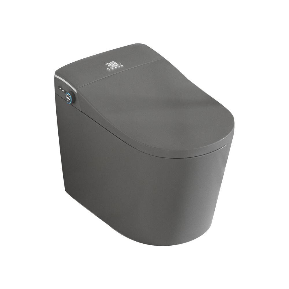 Elongated Bidet Toilet 1. 28GPF in Grey with Auto Open & Flush Auto Soft Close Seat and Hands-Free Adjusted Heated Seat price history on PriceWatchPro
