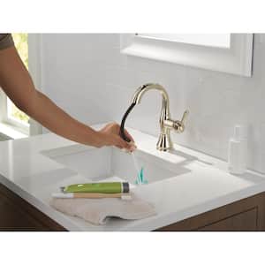 Cassidy Single-Handle Single-Hole Bathroom Faucet with Pull-Down Spout in Polished Nickel