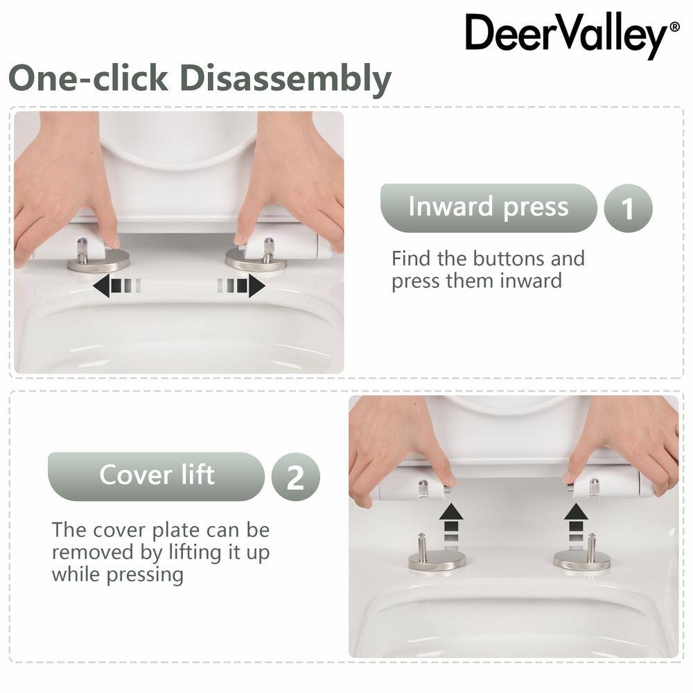 White Elongated Dual-Flush One-Piece Toilet with Silver Button