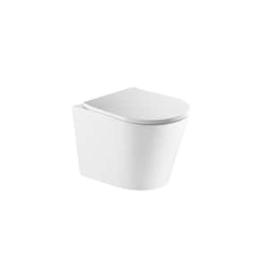 Vista Wallhung Elongated Toilet Bowl with Soft Close Seat in White