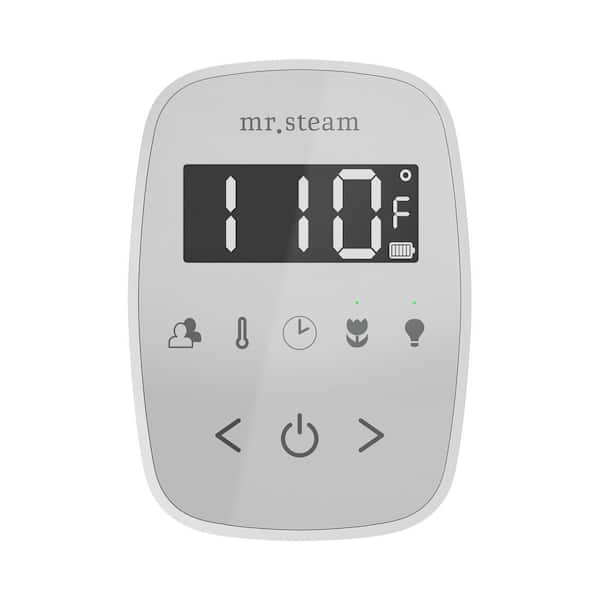 Mr. Steam ButlerTouch Steam Shower Control Package with TempoTouch Control and Steamhead in Satin Steel