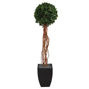 64in. English Ivy Single Ball Artificial Topiary Tree in Black Planter UV Resistant (Indoor/Outdoor)