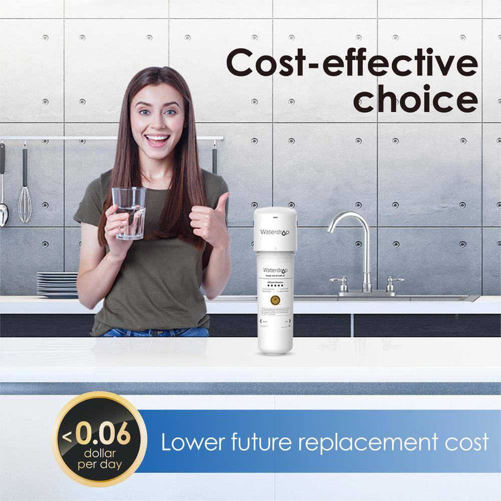 Buy 8000 Gal. 0.01 m Long Last Ultra Filtration UnderSink Water Filter System Direct Connect