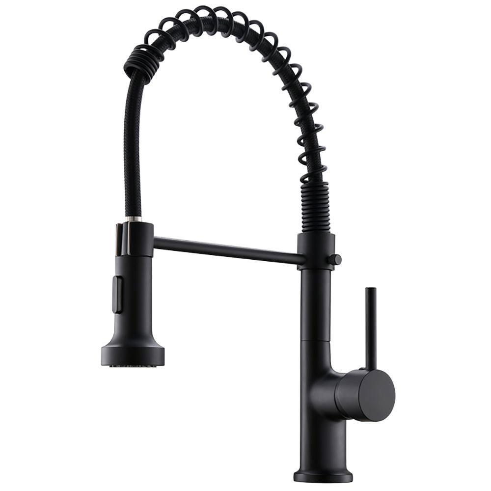 Boyel Living Kitchen Faucet Brass Single-Handle Pull-Down Sprayer ...