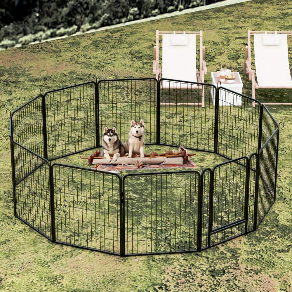 Heavy-Duty Black Metal Pet Exercise Pen with Door, 31.7 in. H