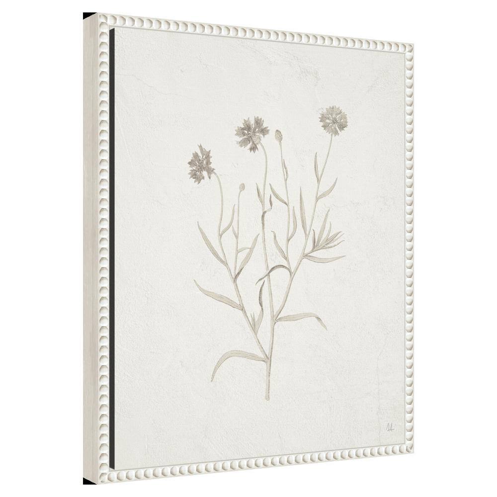 16"x20" White Framed Botanical Canvas Print with Beaded Perimeter